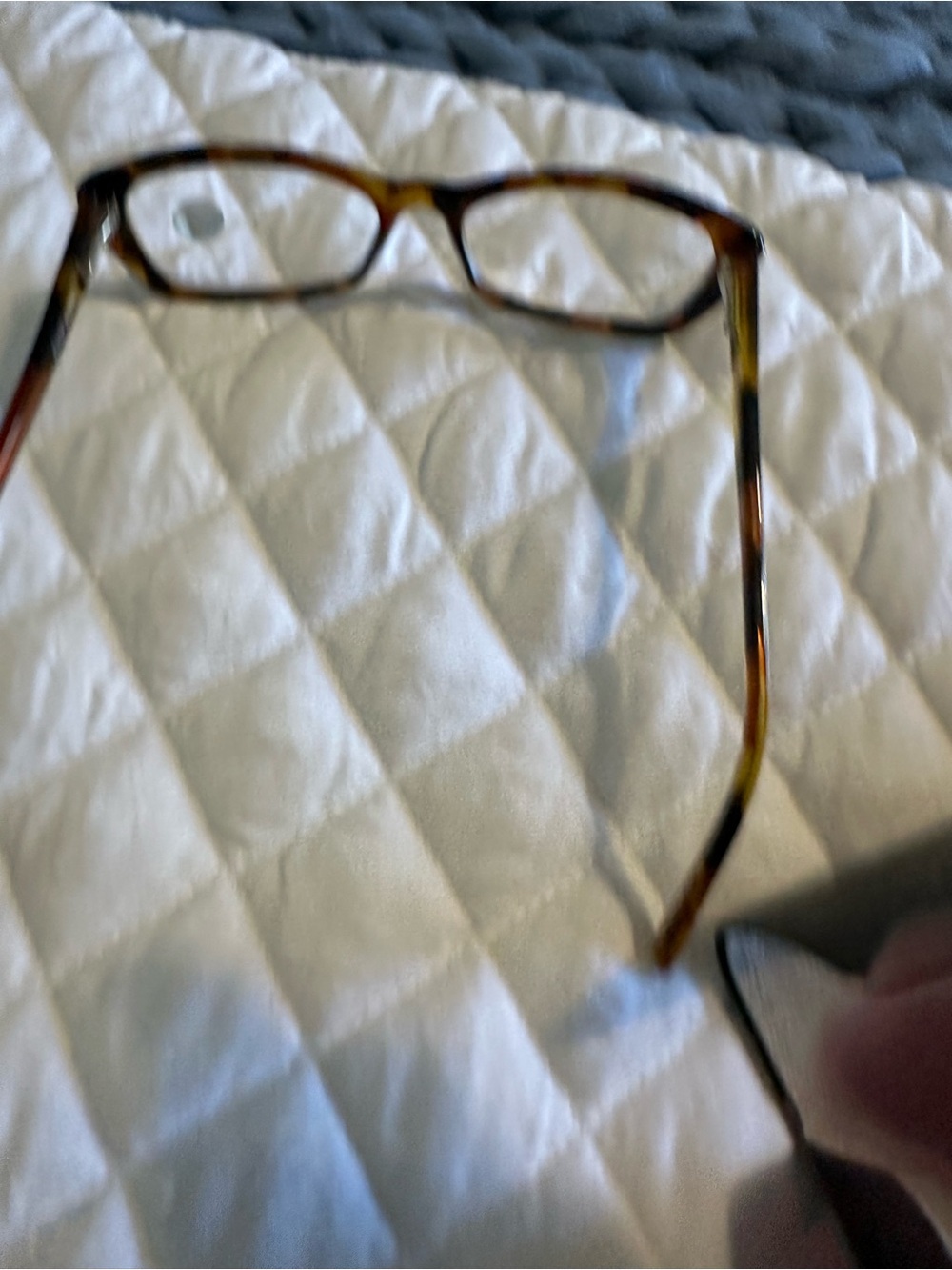 Tortoiseshell Reading Glasses - Stylish female Frame